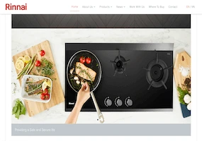 rinnai site